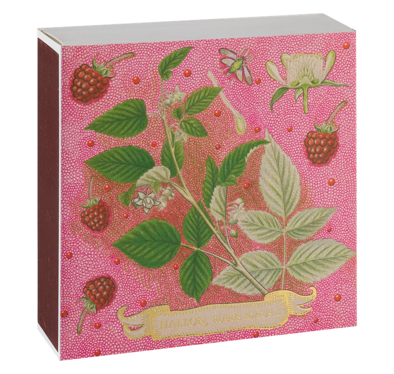 Matchbox - Rose Framboise
