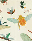 I Bug You