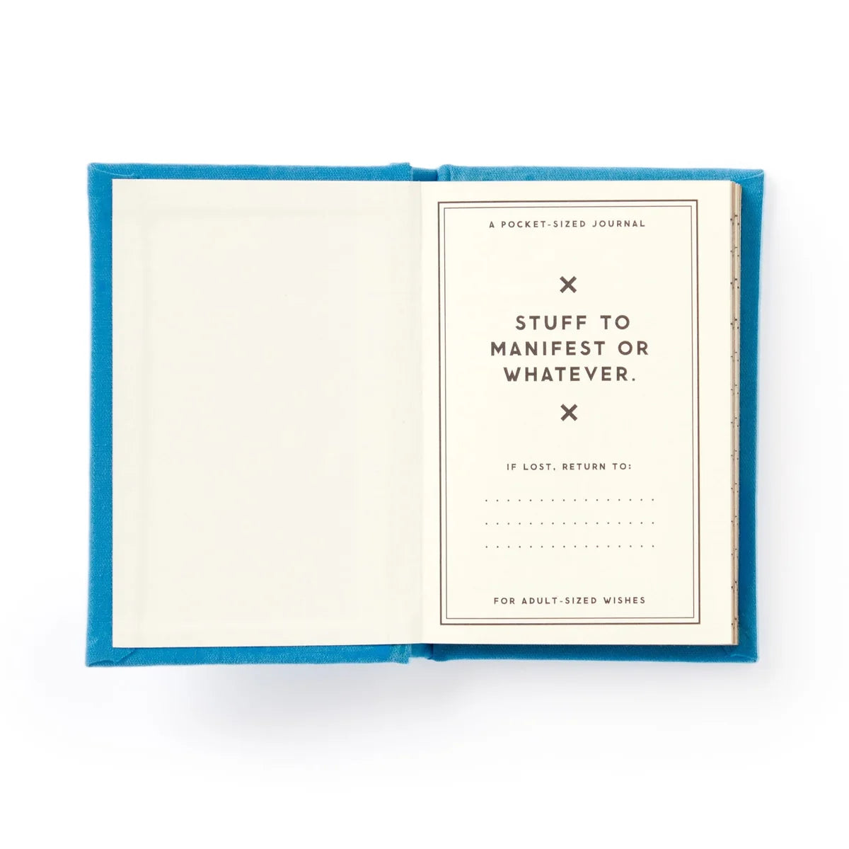 Tiny Diary of Tiny Hopes and Dreams