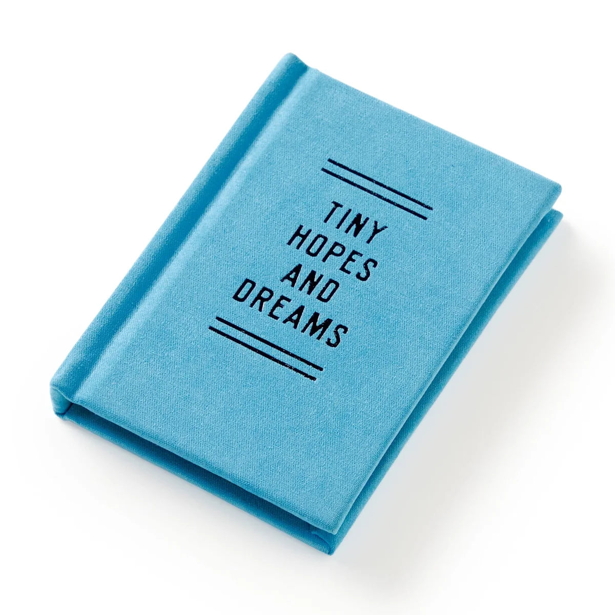 Tiny Diary of Tiny Hopes and Dreams