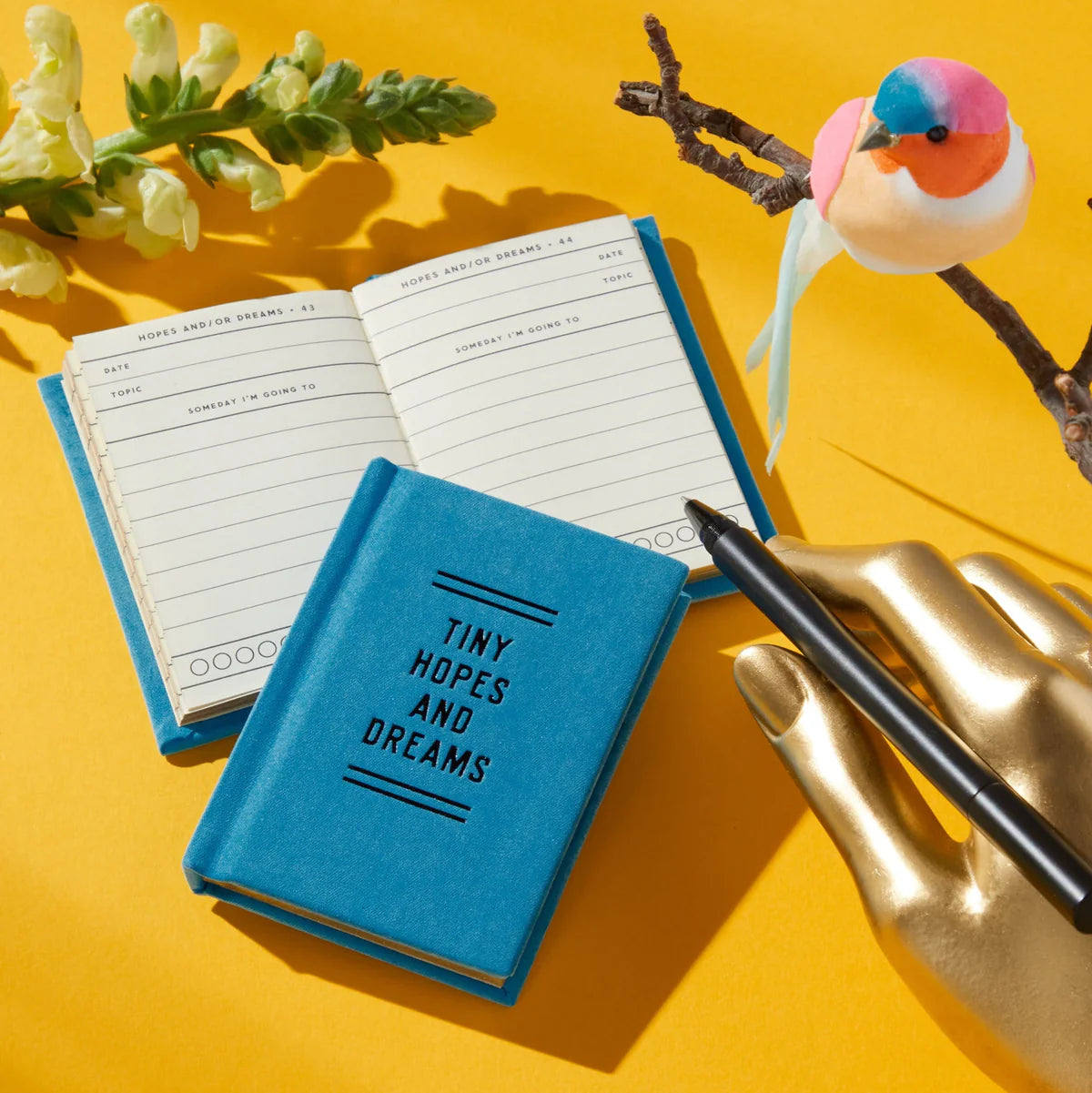 Tiny Diary of Tiny Hopes and Dreams