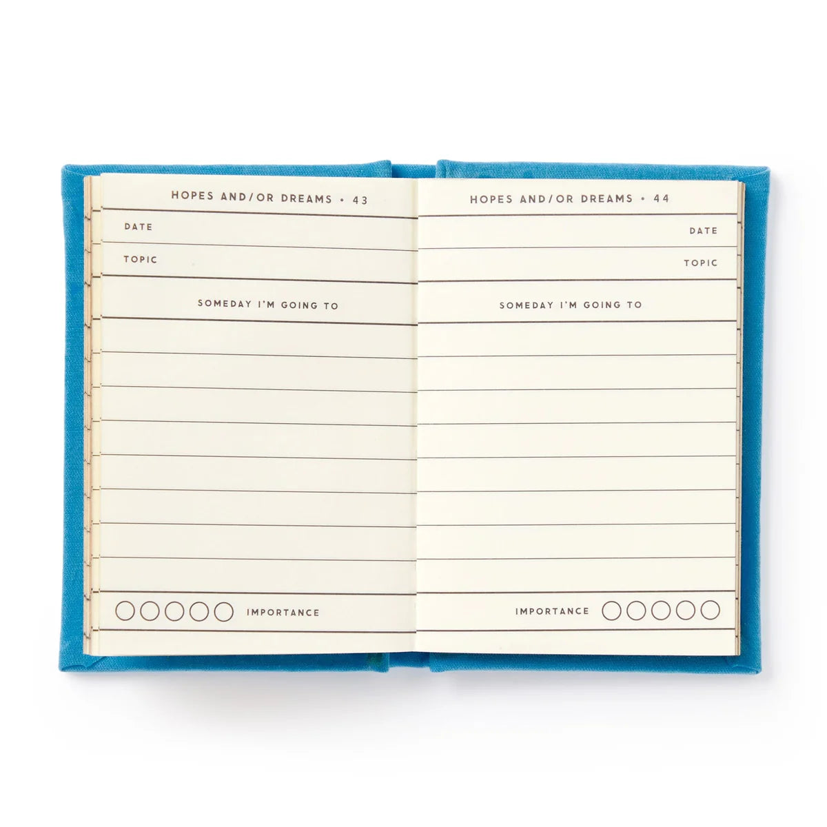 Tiny Diary of Tiny Hopes and Dreams